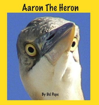 portada Aaron The Heron (en Inglés)
