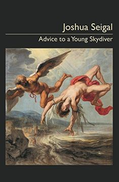 portada Advice to a Young Skydiver (en Inglés)