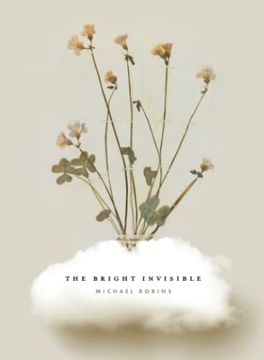 portada The Bright Invisible (in English)