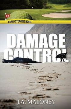 portada Damage Control: A Brad Stephens Novel. Hole #4 (en Inglés)