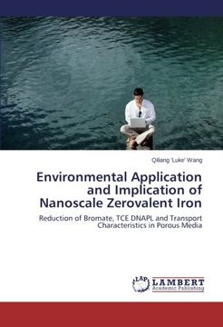 portada Environmental Application and Implication of Nanoscale Zerovalent Iron