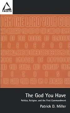 portada the god you have: politics and the first commandment (in English)