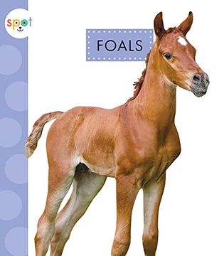 portada Foals (Spot Baby Farm Animals) (in English)