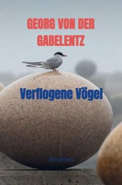 portada Verflogene Vgel Novellen (en Alemán)