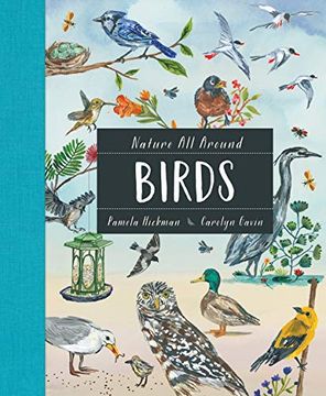 portada Nature all Around: Birds (in English)