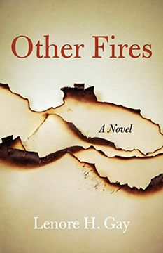 portada Other Fires: A Novel