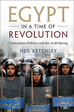 portada Egypt in a Time of Revolution: Contentious Politics and the Arab Spring (Cambridge Studies in Contentious Politics) (en Inglés)