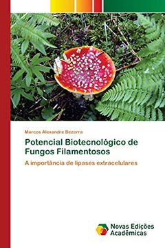 portada Potencial Biotecnológico de Fungos Filamentosos: A Importância de Lipases Extracelulares (en Portugués)
