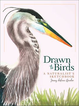 portada Drawn to Birds: A Naturalist'S Sketchbook (Jenny Geuder Art) (en Inglés)