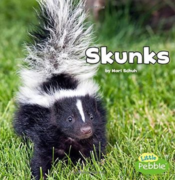 portada Skunks (Little Pebble: Black and White Animals)