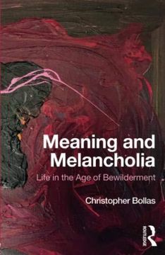portada Meaning and Melancholia: Life in the age of Bewilderment 