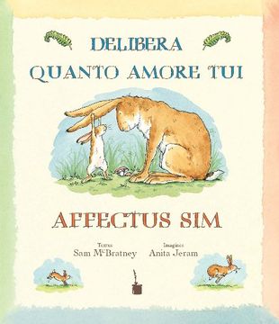 portada Delibera, quanto amore tui affectus sim: Latinum in sermonem converterunt Hermannus et Teresa Krüssel (in Latin)