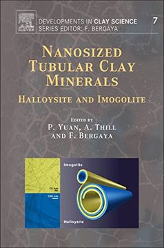 portada Nanosized Tubular Clay Minerals (Developments in Clay Science) (en Inglés)