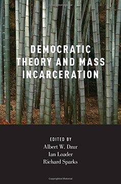 portada Democratic Theory and Mass Incarceration (Studies in Penal Theory and Philosophy)