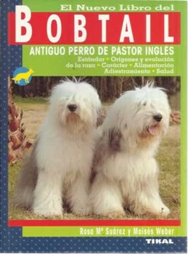 Viejo Pastor Inglés Ecuador - El VIEJO PASTOR INGLÉS (BOBTAIL) es