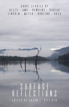 portada Surface Reflections (en Inglés)