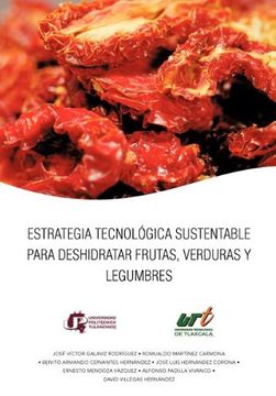 portada Estrategia Tecnologica Sustentable Para Deshidratar Frutas, Verduras y Legumbres