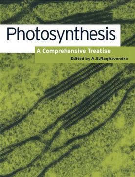 portada Photosynthesis Paperback: A Comprehensive Treatise (en Inglés)