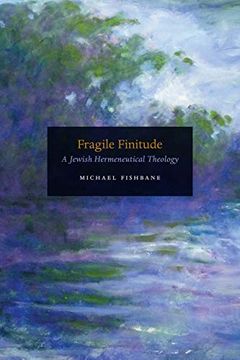 portada Fragile Finitude: A Jewish Hermeneutical Theology (en Inglés)