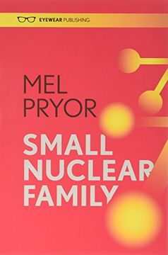portada Small Nuclear Family 