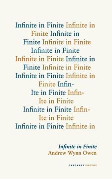 portada Infinite in Finite (in English)