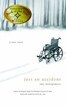 portada Just an Accident (en Inglés)
