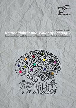 portada Neurodidaktik Und Waldorfpadagogik: Gemeinsamkeiten Und Differenzen Am Beispiel Der Freien Waldorfschule Kreuzberg (German Edition)