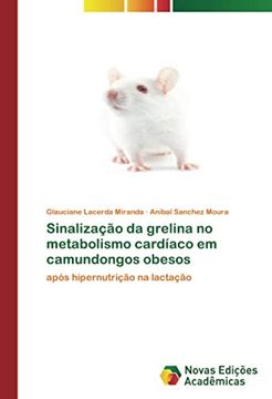 portada Sinalização da Grelina no Metabolismo Cardíaco em Camundongos Obesos: Após Hipernutrição na Lactação (in Portuguese)