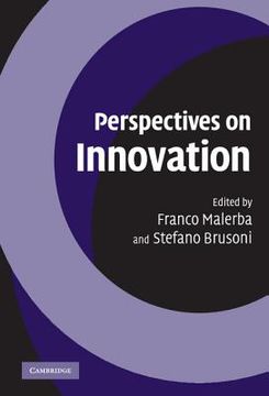 portada Perspectives on Innovation (en Inglés)