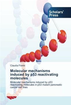 portada Molecular mechanisms induced by p53 reactivating molecules