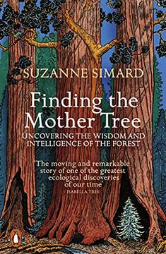 portada Finding the Mother Tree: Uncovering the Wisdom and Intelligence of the Forest (in English)