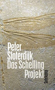 portada Das Schelling-Projekt: Bericht (Suhrkamp Taschenbuch) (in German)