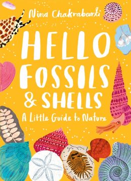 Hello Shells and Fossils
