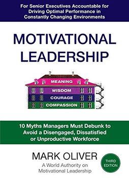 portada Motivational Leadership (en Inglés)