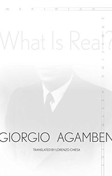 portada What is Real? (Meridian: Crossing Aesthetics) (in English)