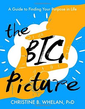 portada The Big Picture: A Guide to Finding Your Purpose in Life