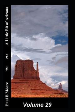 portada A Little Bit of Arizona: Volume 29 (in English)