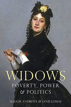 portada Widows: Poverty, Power and Politics (in English)