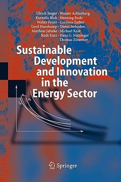 portada sustainable development and innovation in the energy sector