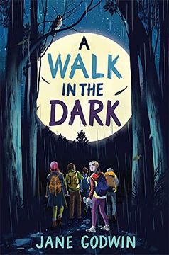 portada A Walk in the Dark 