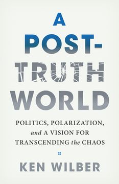 portada A Post-Truth World: Politics, Polarization, and a Vision for Transcending the Chaos (en Inglés)