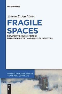 portada Fragile Spaces: Forays Into Jewish Memory, European History and Complex Identities: 8 (Perspectives on Jewish Texts and Contexts, 8) (in English)