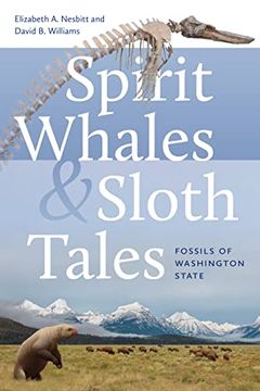 portada Spirit Whales and Sloth Tales: Fossils of Washington State (en Inglés)