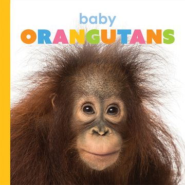 portada Baby Orangutans (Starting Out) (en Inglés)