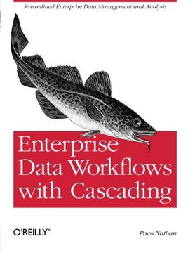 portada Enterprise Data Workflows With Cascading 