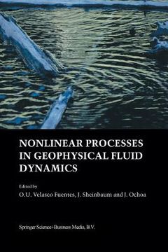 portada Nonlinear Processes in Geophysical Fluid Dynamics: A Tribute to the Scientific Work of Pedro Ripa (en Inglés)