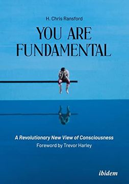 portada You are Fundamental: A Revolutionary new View of Consciousness (en Inglés)