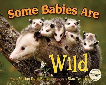 portada Some Babies are Wild (Wildlife Picture Books) (in English)