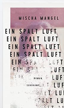 portada Ein Spalt Luft: Roman (en Alemán)