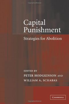portada Capital Punishment: Strategies for Abolition (in English)
